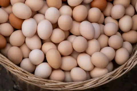 Why Egg Prices Are Likely to Reach Record-High in 2025